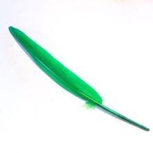 Emerald Green Goose Wing Feather